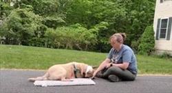 Woman sitting quietly petting yellow dog