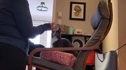 Person introducing medication bottle to pet 