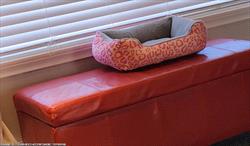 Photo of a cat bed on top of a bench