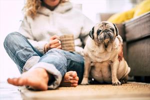 Person sitting on the floor next to their older pug.