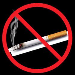 Image showing photo of a cigarette with the red strike-through meaning "no smoking"