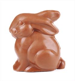 chocolate bunny