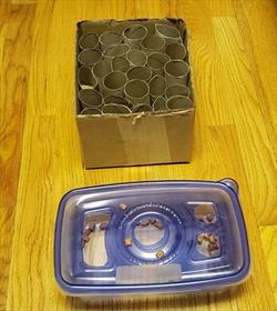 Examples of two homemade food puzzles 