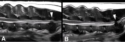 Figure3.