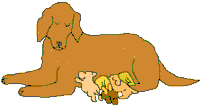 Drawing of a mama dog with puppies 