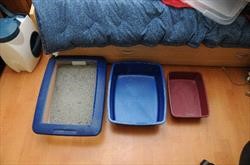Litterboxes of different sizes, shapes, and colors