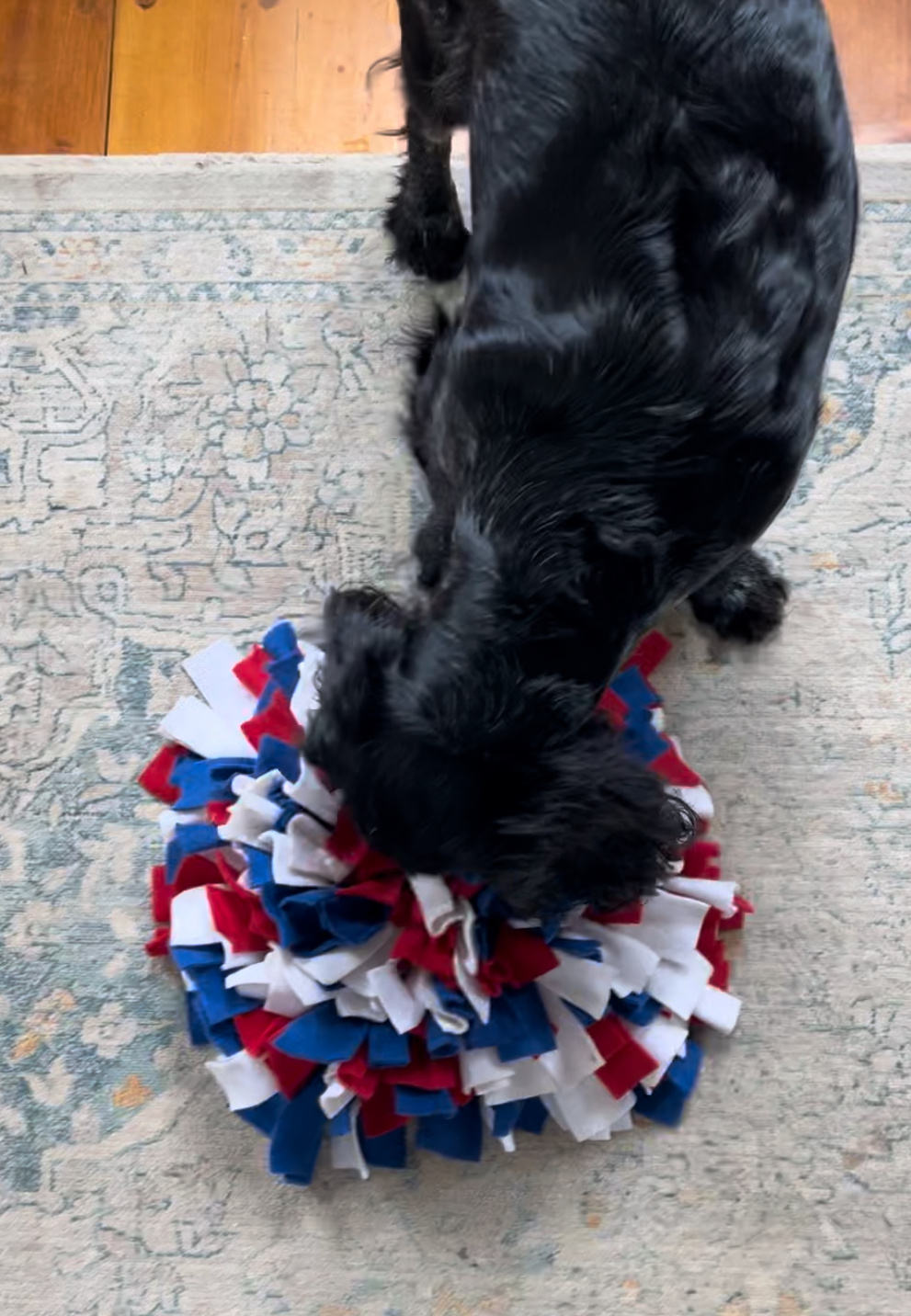 A black dog with a red, white and blue snuffle mat