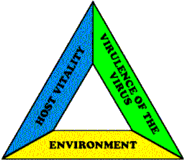 A diagram of a triangle with host vitality, environment, and virulence of the virus represented on each side