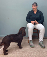 Handler sitting in a chair while brown Cocker Spaniel watches