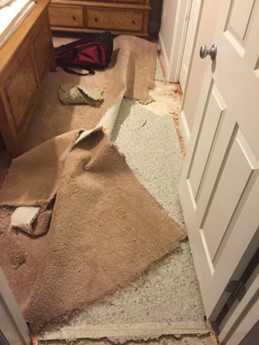 Photo image of a torn-apart room