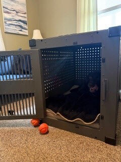 A photo image of a dog crate with blankets and toys