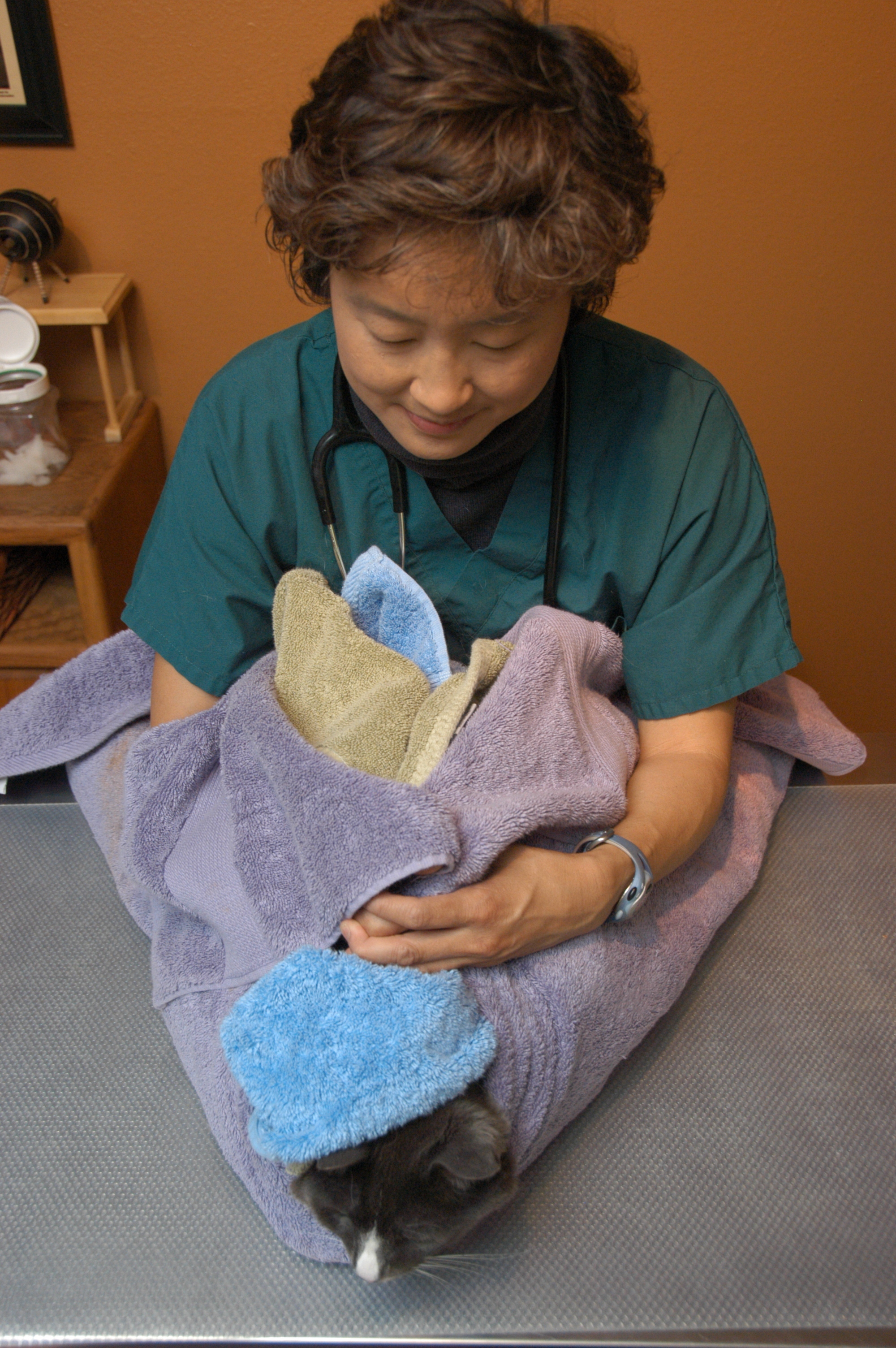 Dr. Sophia hold a cat wrapped in towels