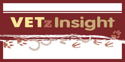 VetzInsight Logo